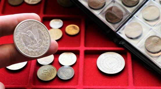 Essential Beginner Coin Collecting